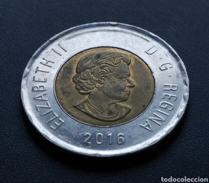Monedas antiguas de Am&eacute;rica: MONEDA - CANADA 2 DOLLARES 2016 - Foto 4