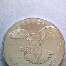 Monnaies anciennes d'Amérique: MONEDA DE PLATA 1 OZ CANADA 5 DOLORES 2014. Lote 362938880