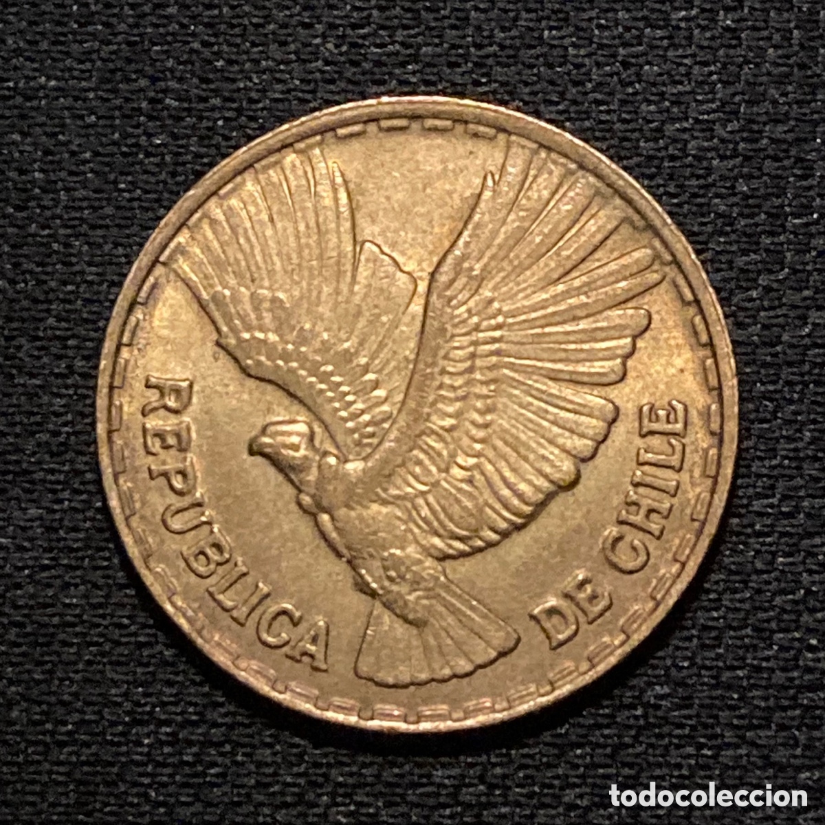 Monedas antiguas de Am&eacute;rica: 5 cent&eacute;simos 1969 Chile - Foto 1