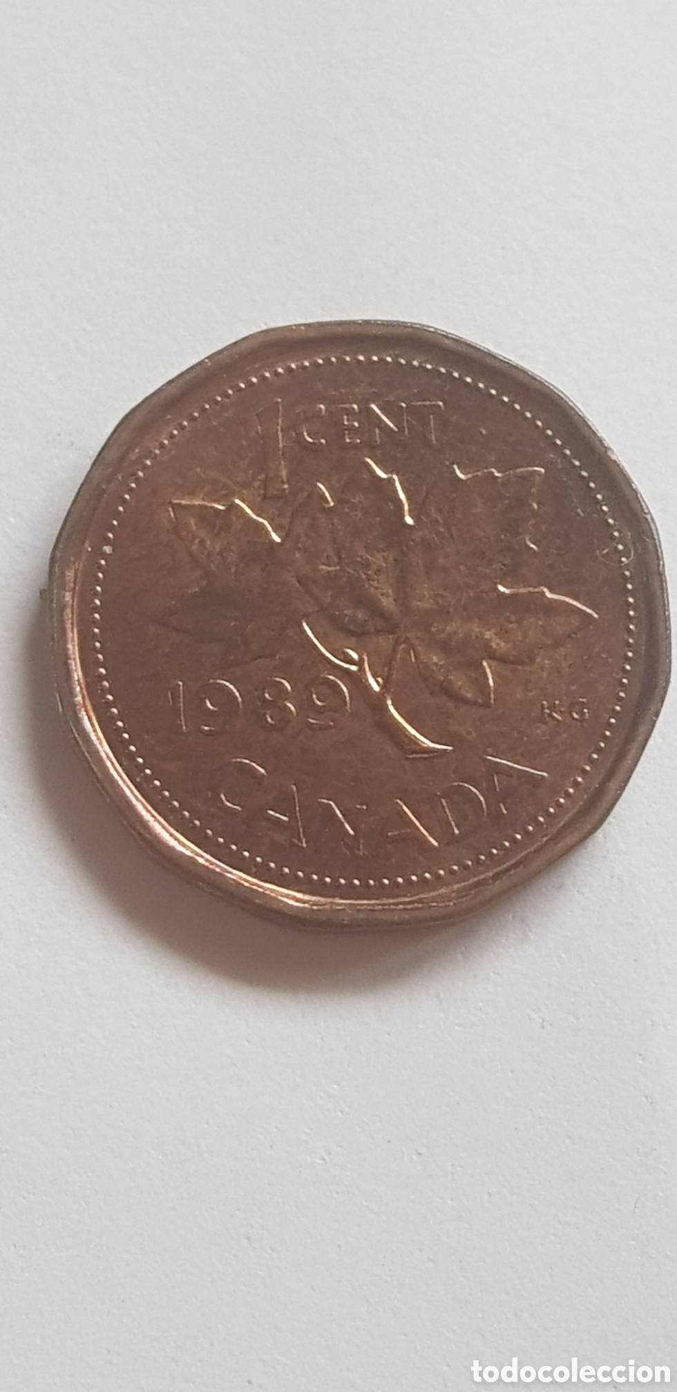 Monedas antiguas de Am&eacute;rica: 1 cent 1989 Canada Centimo de dolar - Foto 1