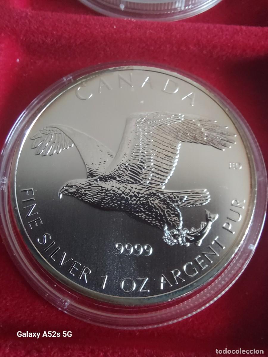 Monedas antiguas de Am&eacute;rica: Onza Canad&aacute; plata 2014 - Foto 1