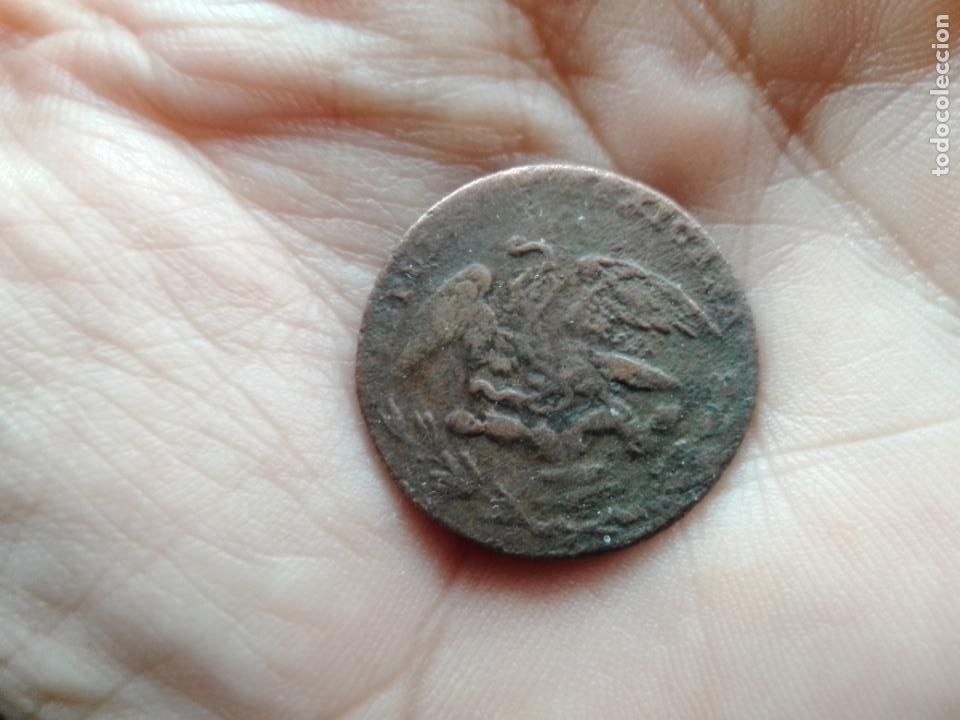 Monedas antiguas de Am&eacute;rica: MEXICO 1831 1/4 DE REAL QUARTO - Foto 2