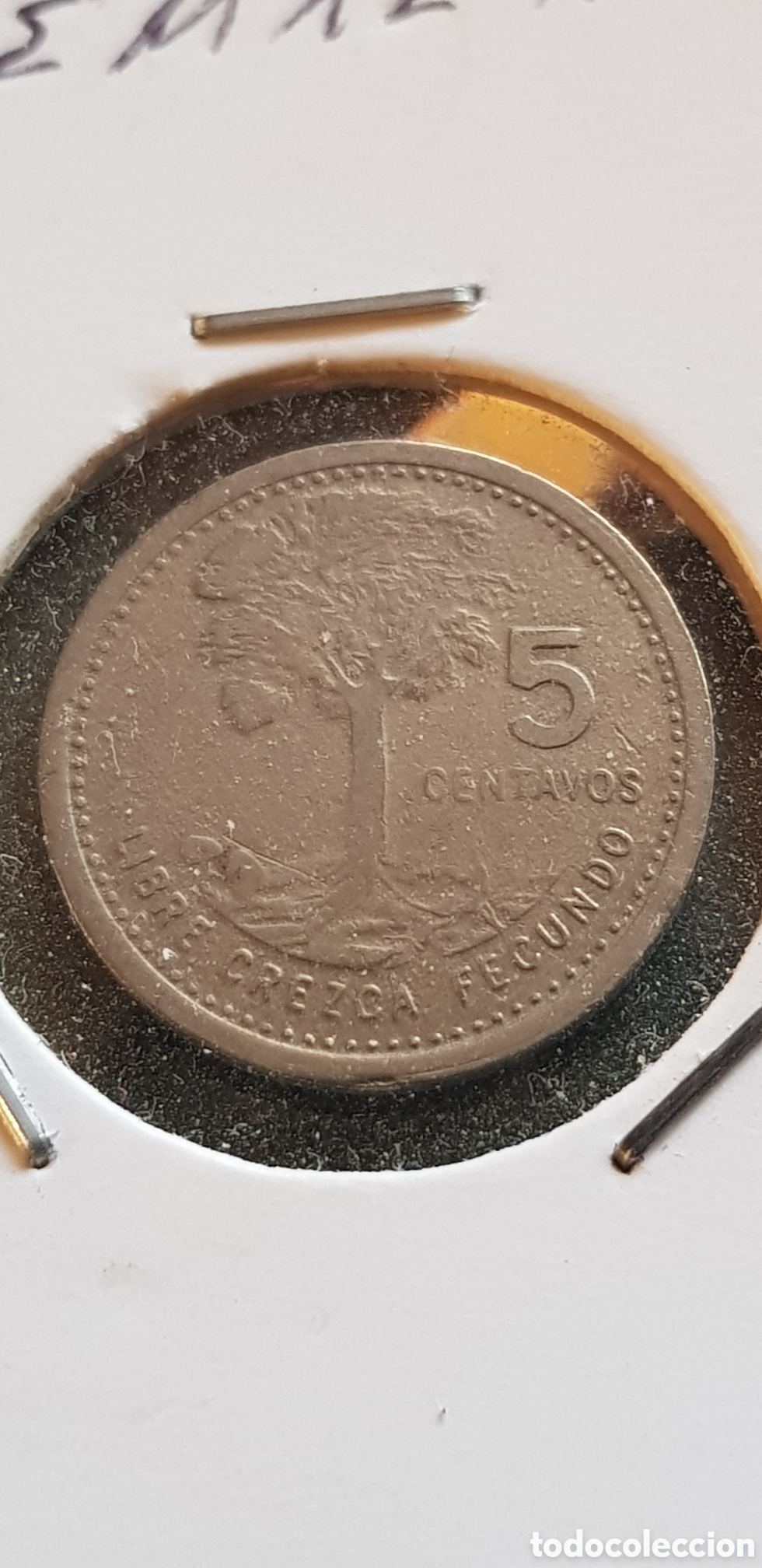 Monedas antiguas de Am&eacute;rica: 5 centavos 1979 Guatemala Cinco - Foto 1