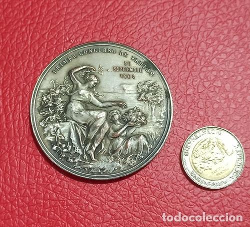 Monedas antiguas de Am&eacute;rica: numismatica medalla concurso frutas 1904 - Foto 1