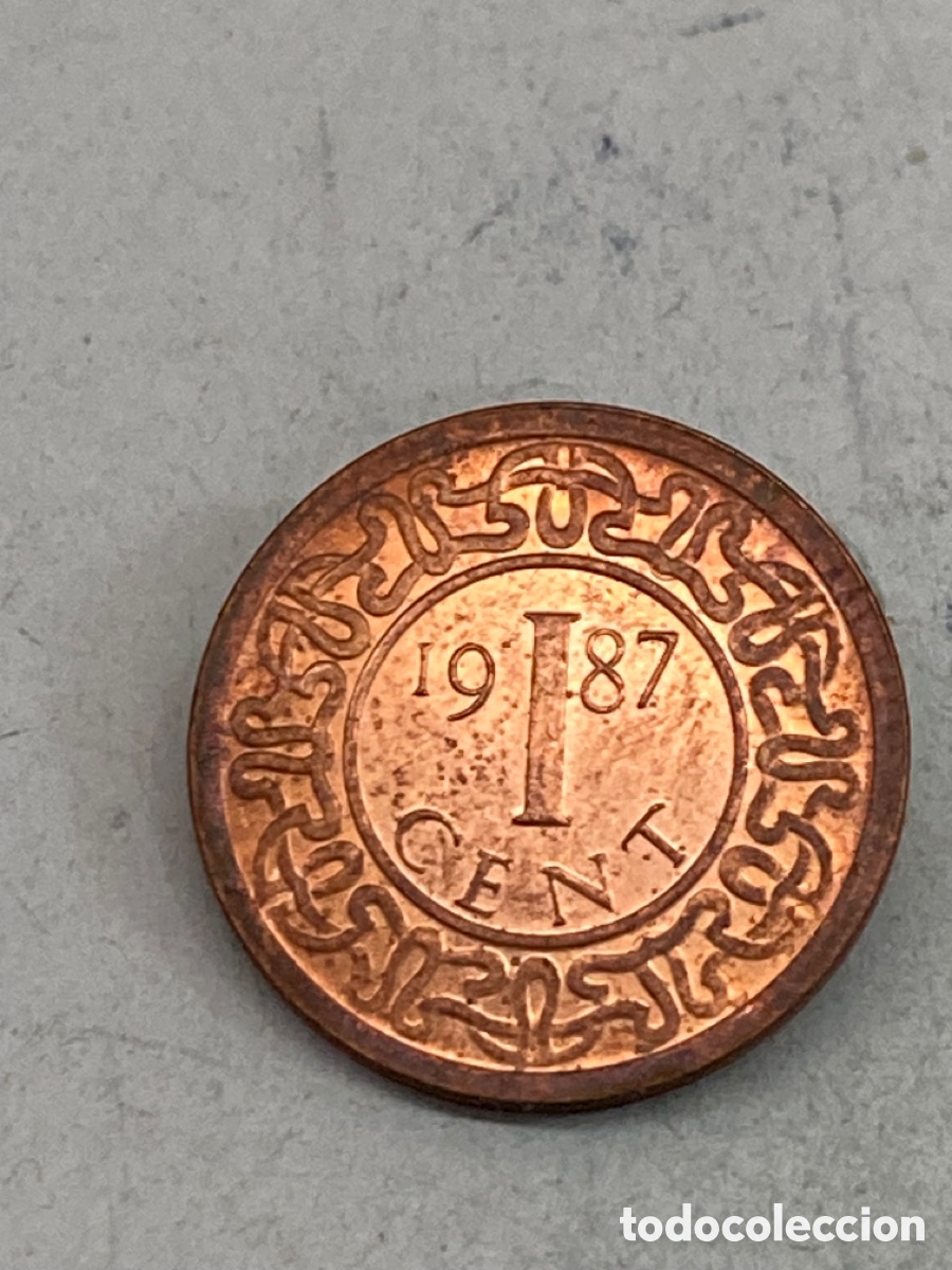 Monedas antiguas de Am&eacute;rica: Moneda 1 Cent 1987 Suriname M8 - Foto 1