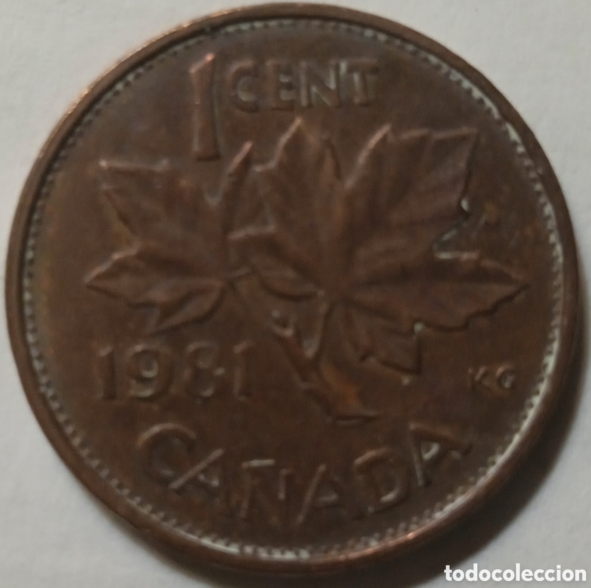 Monedas antiguas de Am&eacute;rica: 1 CENT/1981 (CANAD&Aacute;) - Foto 1