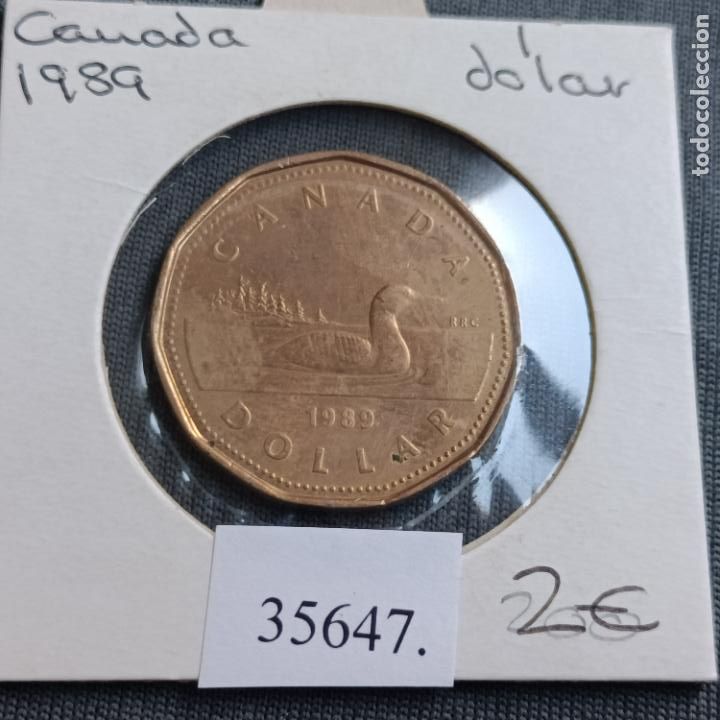 Monedas antiguas de Am&eacute;rica: Canad&aacute; 1 dolar 1989 - Foto 1