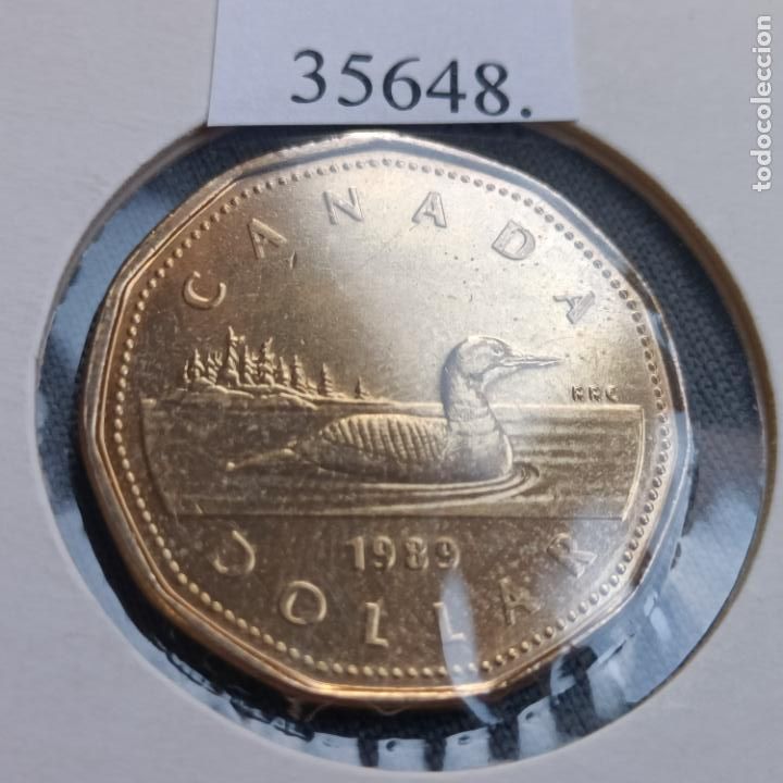 Monedas antiguas de Am&eacute;rica: Canad&aacute; 1 dolar 1989 - Foto 2