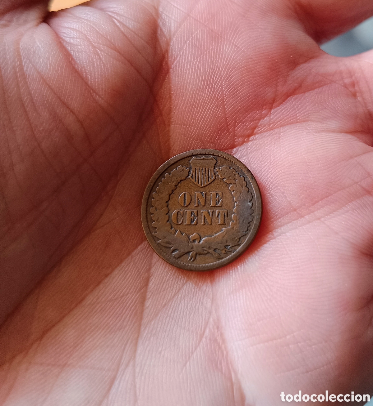 Monedas antiguas de Am&eacute;rica: USA MONEDA 1 CENTIMO 1897. INDIO - Foto 3
