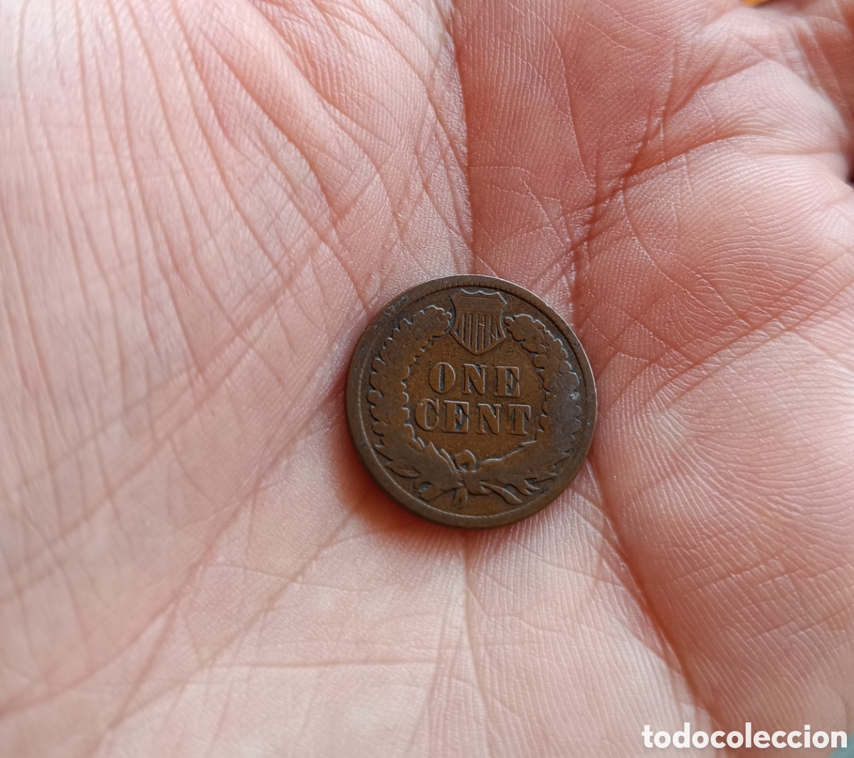 Monedas antiguas de Am&eacute;rica: USA MONEDA 1 CENTIMO 1897. INDIO - Foto 5