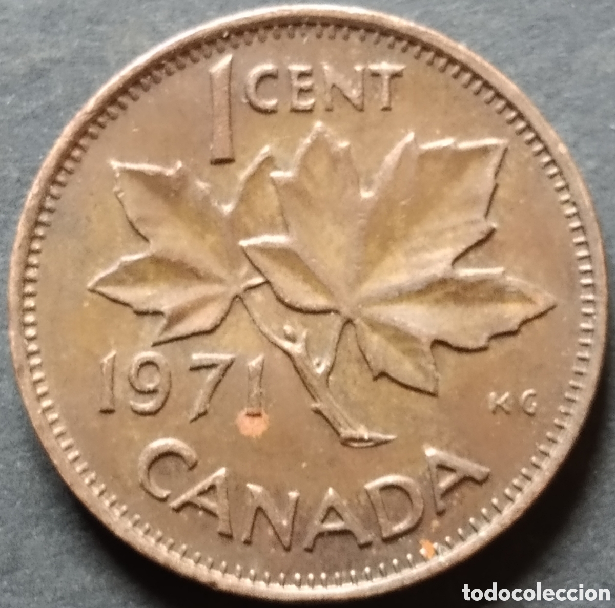 Monedas antiguas de Am&eacute;rica: MONEDA - CANADA 1 CENT 1971 - Foto 1