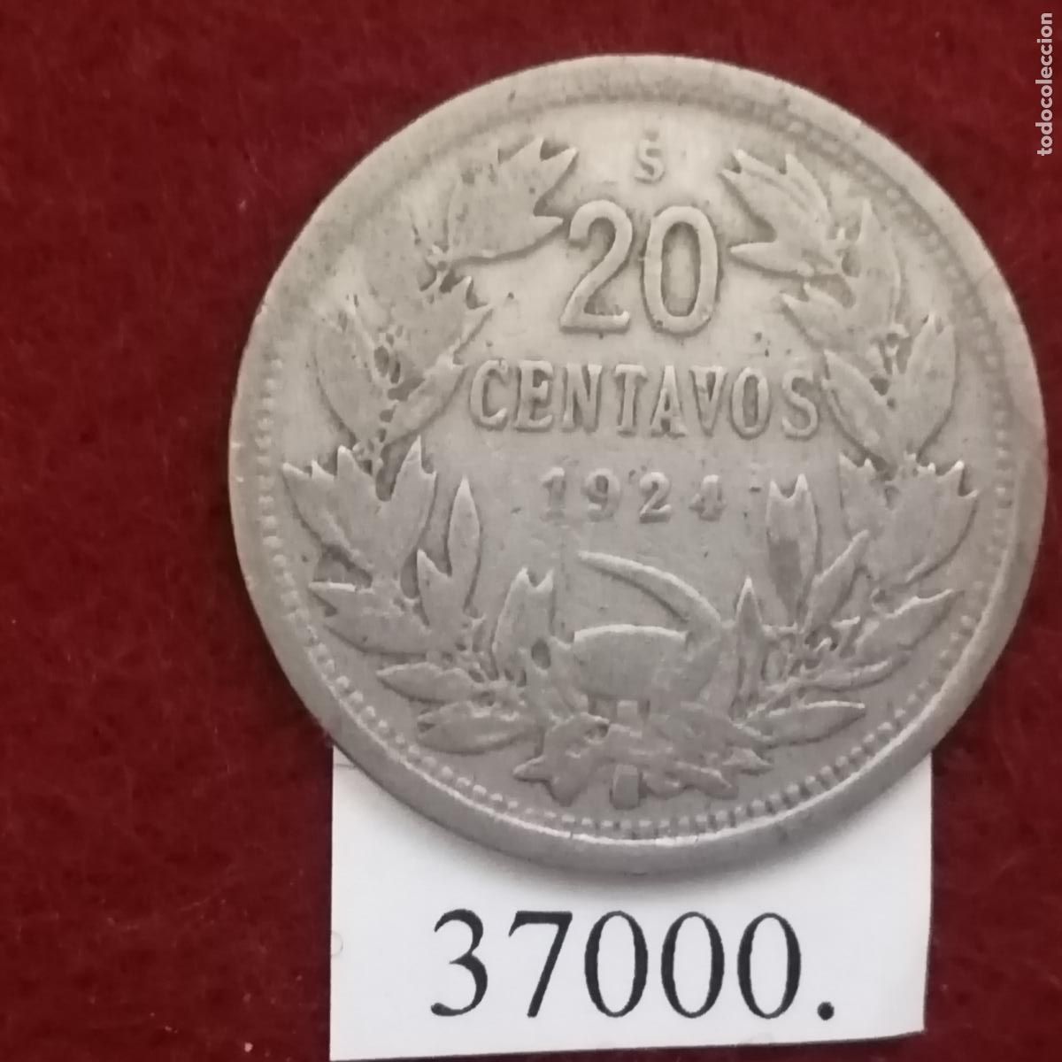 Monedas antiguas de Am&eacute;rica: Chile 20 centavos 1924, centimos - Foto 2