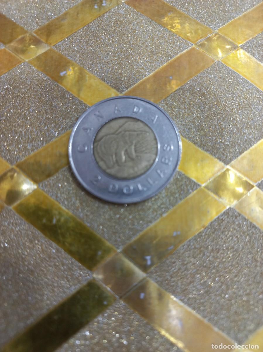 Monedas antiguas de Am&eacute;rica: MONEDA DE CANAD&Aacute; 1996 ! - Foto 1