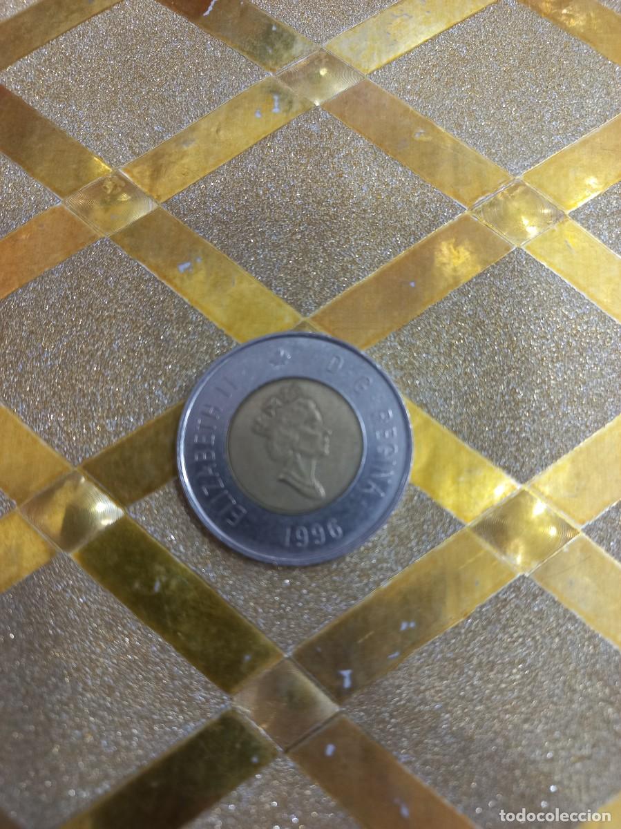 Monedas antiguas de Am&eacute;rica: MONEDA DE CANAD&Aacute; 1996 ! - Foto 2