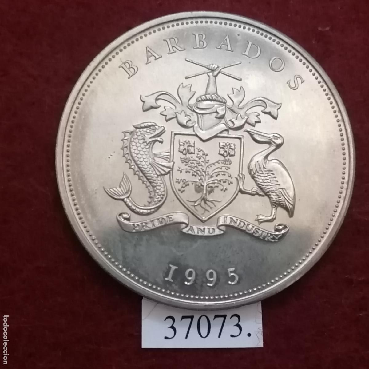 Monedas antiguas de Am&eacute;rica: Barbados 5 dolares 1995 - Foto 2