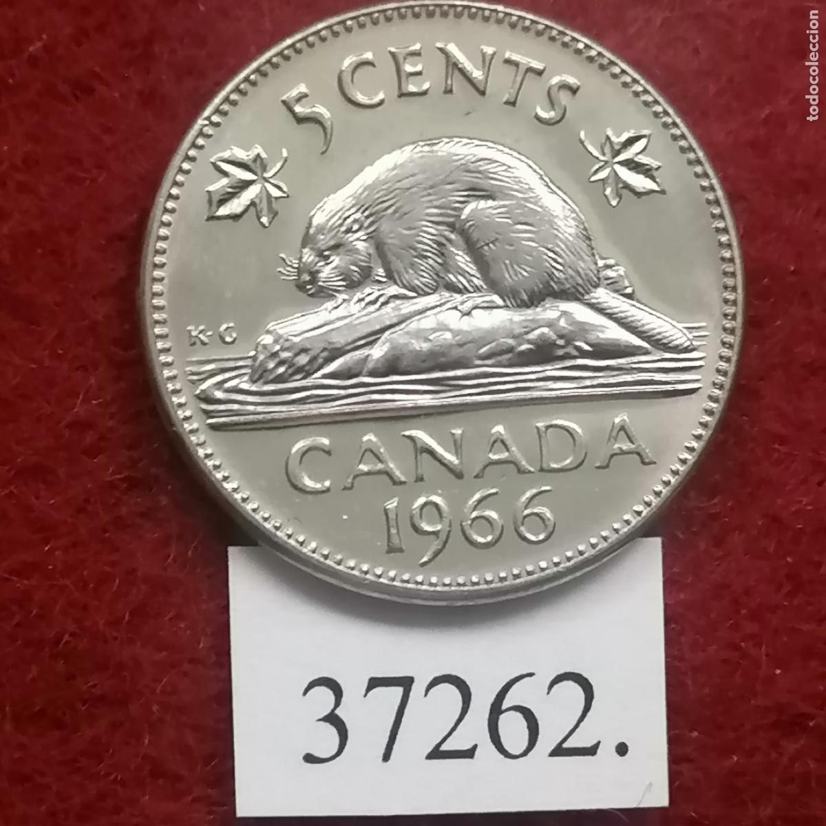 Monedas antiguas de Am&eacute;rica: Canad&aacute; 5 c&eacute;ntimos 1966, centavo - Foto 1