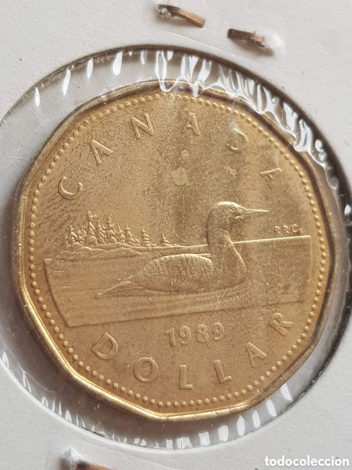 Monedas antiguas de Am&eacute;rica: 1 Dolar 1989 Canad&aacute; Dollar - Foto 2