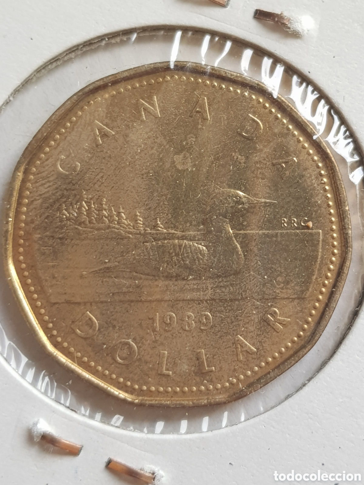 Monedas antiguas de Am&eacute;rica: 1 Dolar 1989 Canad&aacute; Dollar - Foto 1