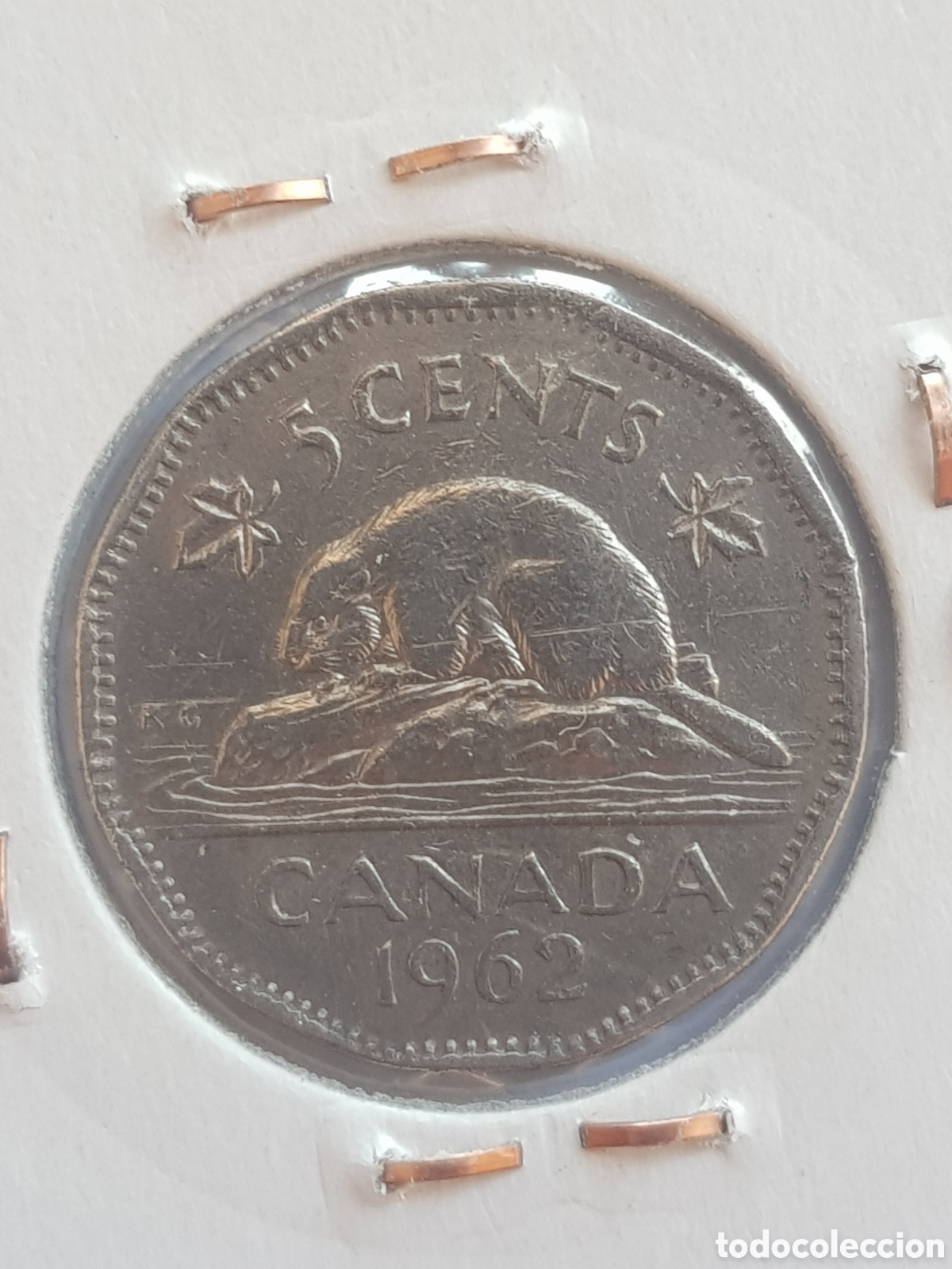 Monedas antiguas de Am&eacute;rica: 5 cents 1962 Canad&aacute; Dollar - Foto 3
