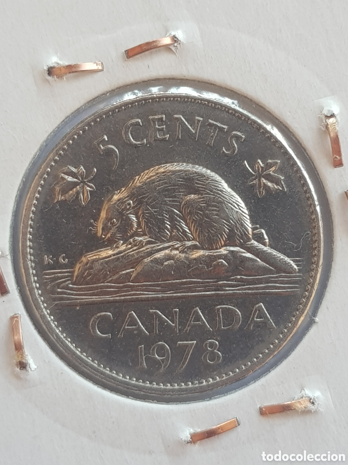 Monedas antiguas de Am&eacute;rica: 5 cents 1978 Canad&aacute; Dollar - Foto 3