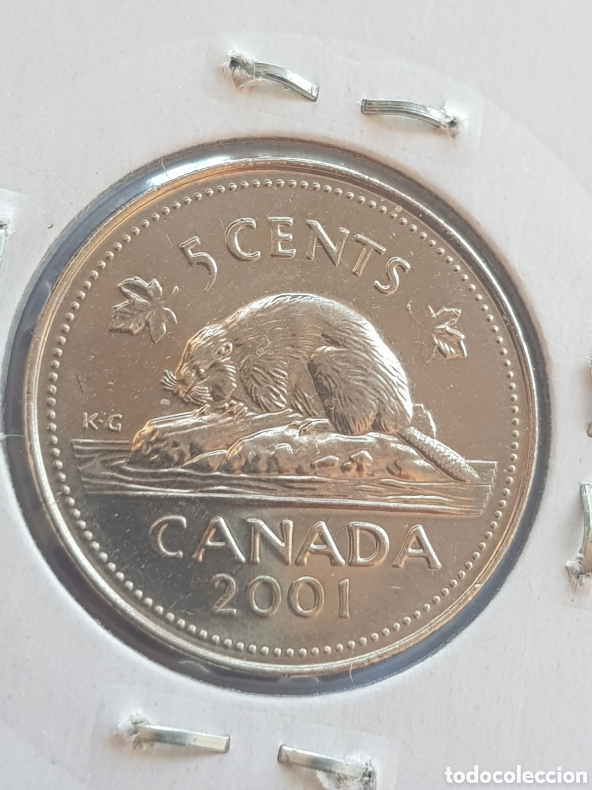 Monedas antiguas de Am&eacute;rica: 5 cents 2001 Canad&aacute; Dollar - Foto 4