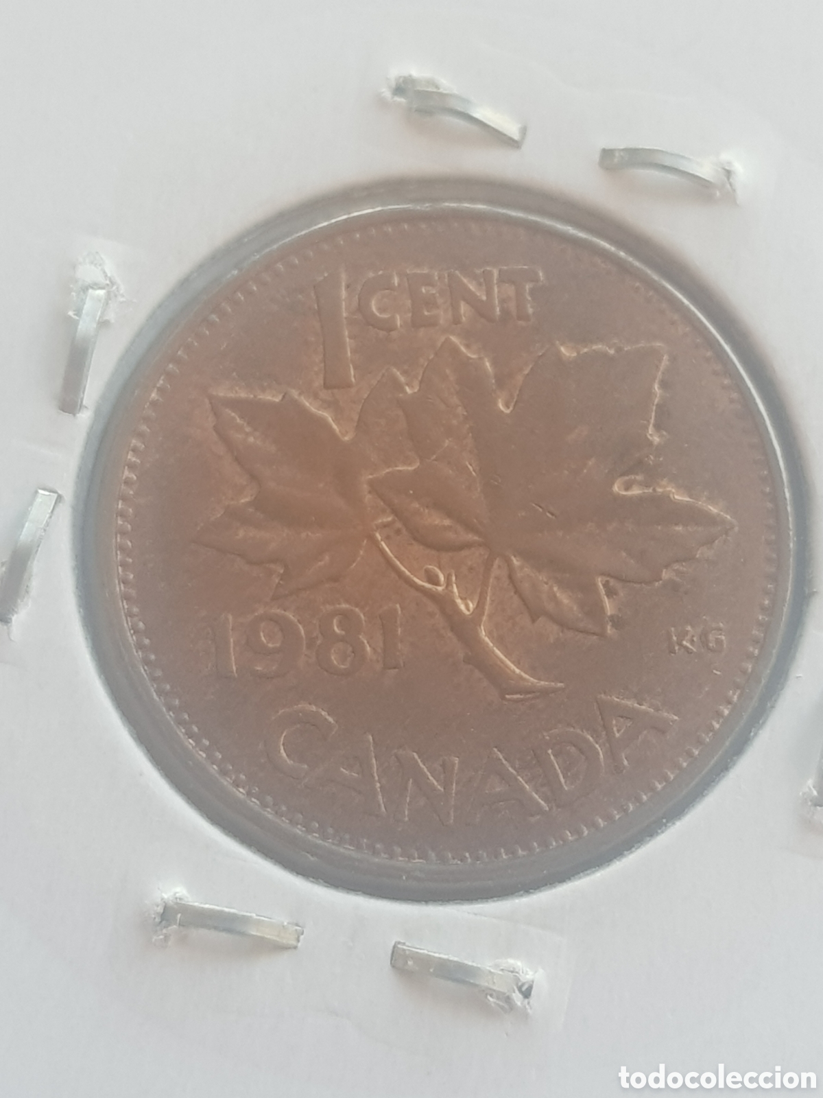 Monedas antiguas de Am&eacute;rica: 1 cent 1981 Canad&aacute; Dollar - Foto 3