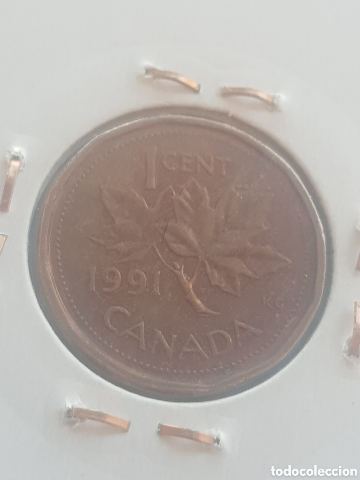 Monedas antiguas de Am&eacute;rica: 1 cent 1991 Canad&aacute; Dollar - Foto 4