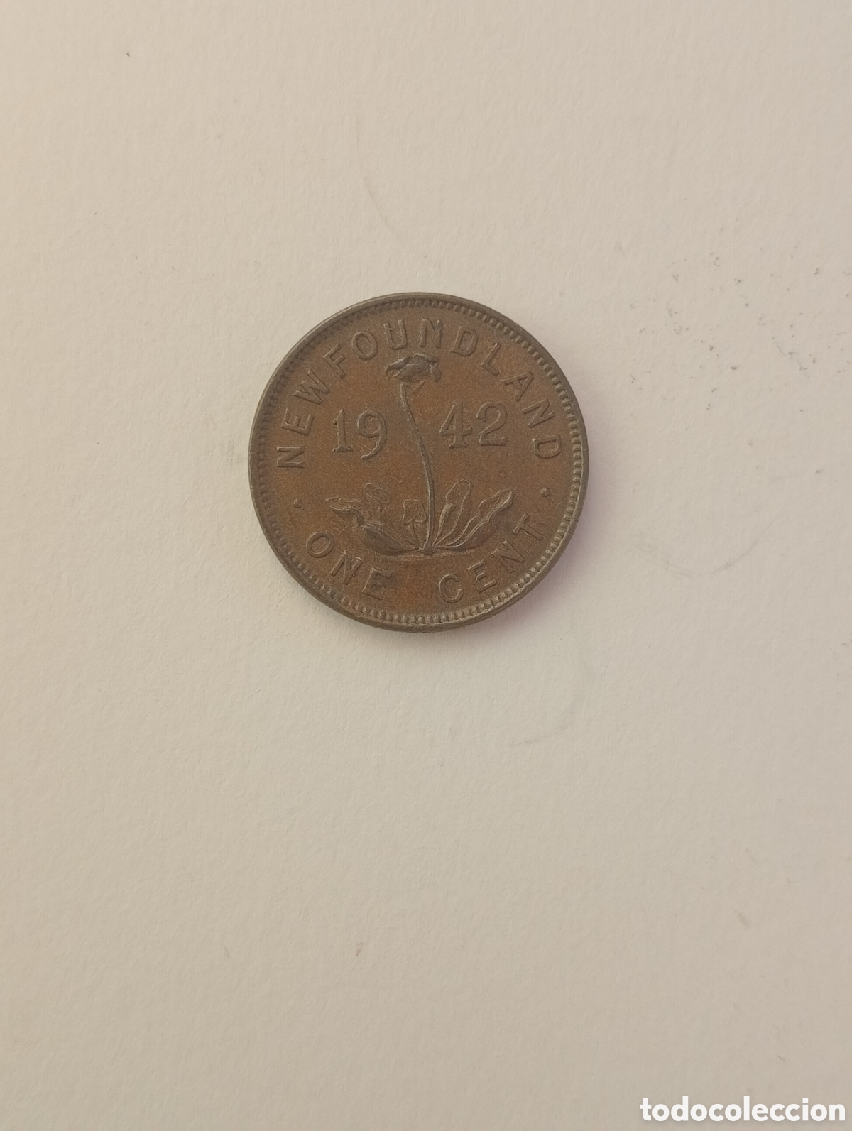 Monedas antiguas de Am&eacute;rica: CANAD&Aacute; NEW FOUNDLAND 1 CENT 1942 - Foto 1
