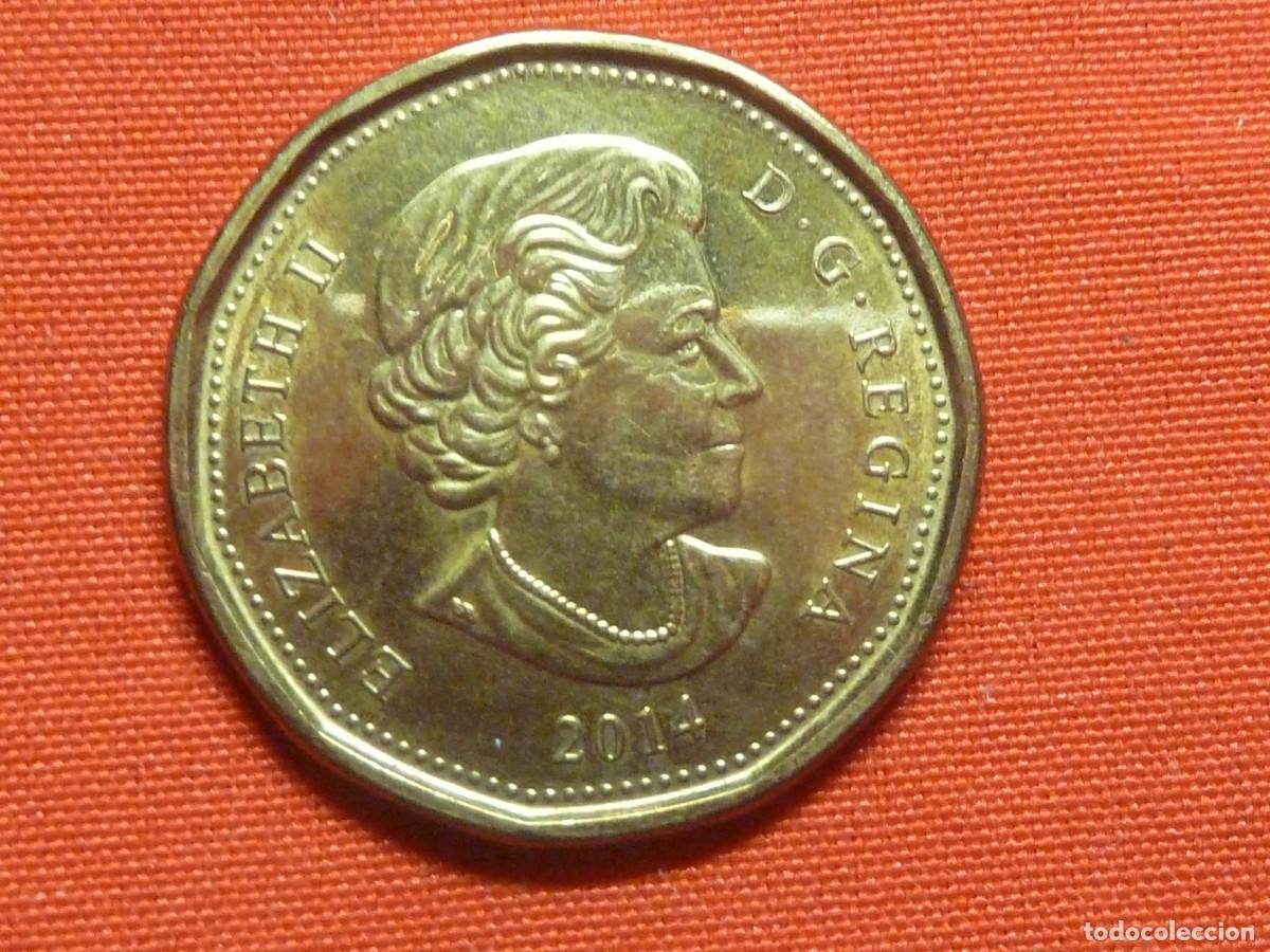 Monedas antiguas de Am&eacute;rica: CANADA DOLLAR DORADA 2014 S/C - Foto 1
