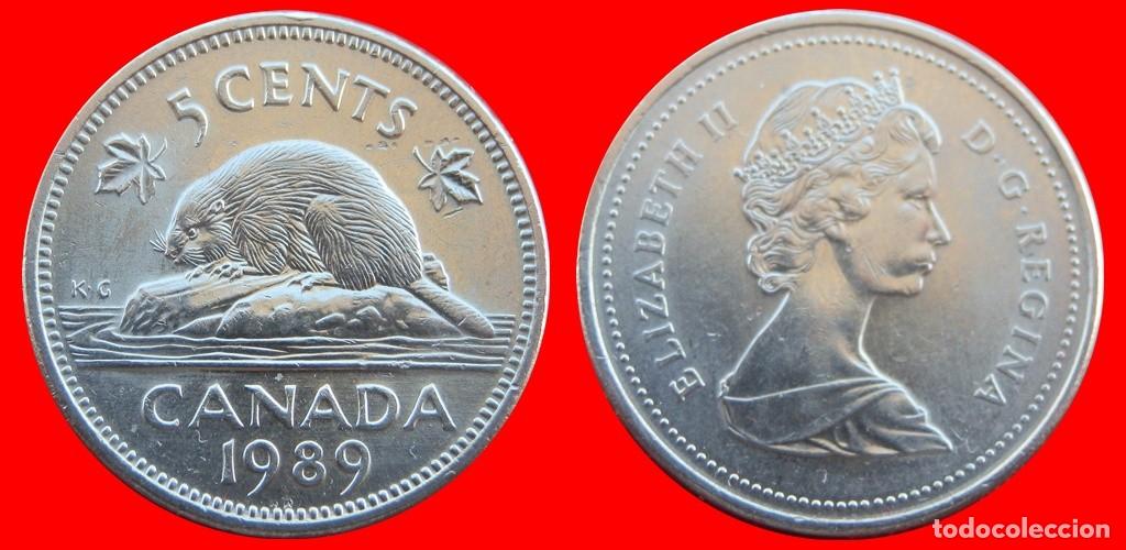 Monedas antiguas de Am&eacute;rica: 5 CENTAVOS 1989 CANADA-118388 - Foto 1