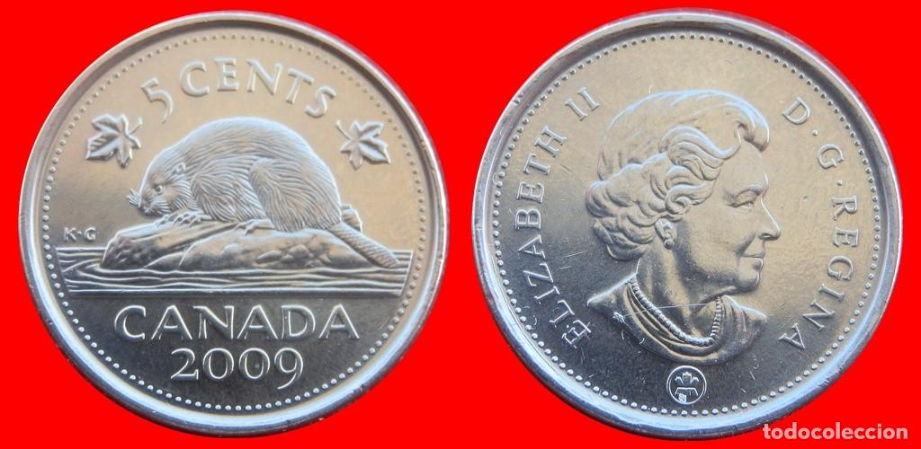 Monedas antiguas de Am&eacute;rica: 5 CENTAVOS 2009 CANADA-118394 - Foto 1