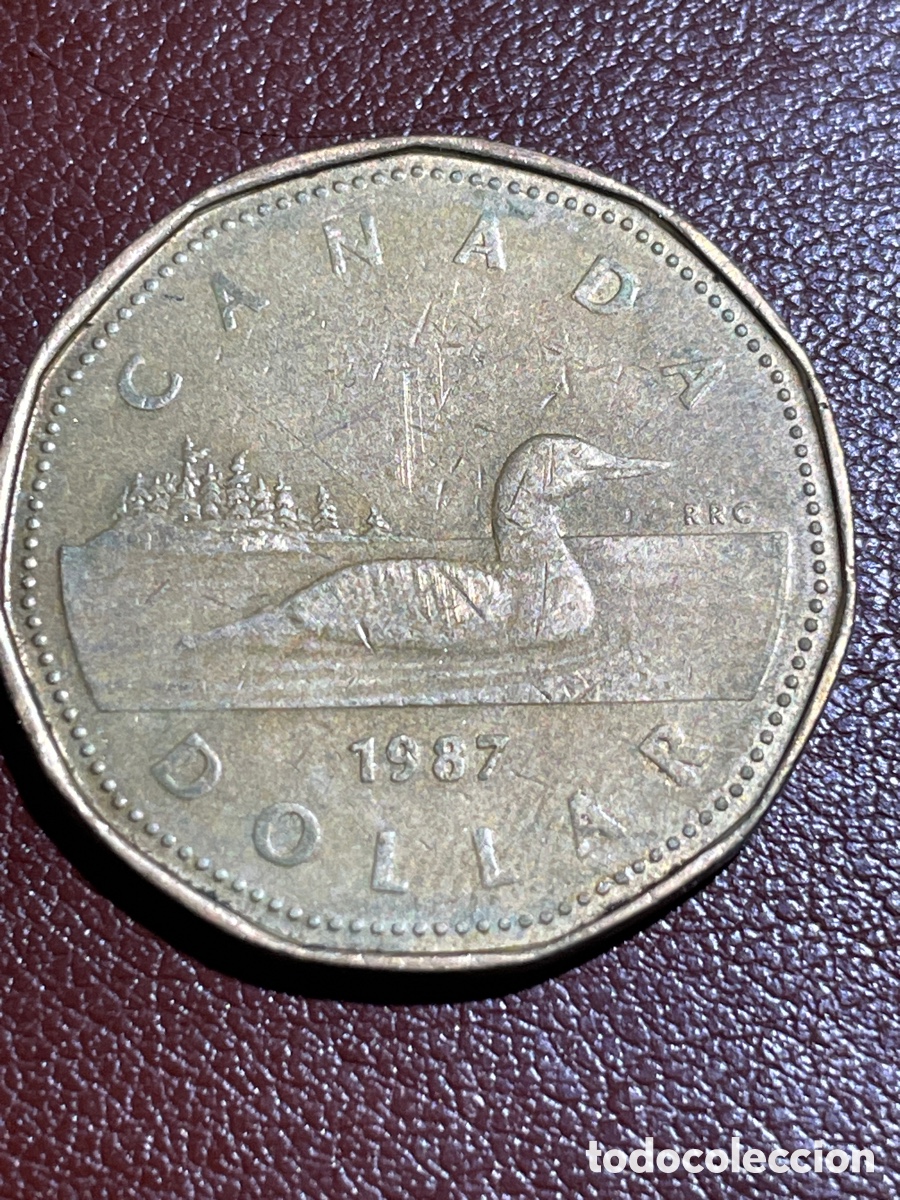 Monedas antiguas de Am&eacute;rica: Canad&aacute; 1 d&oacute;lar a&ntilde;o 1987 - Foto 1