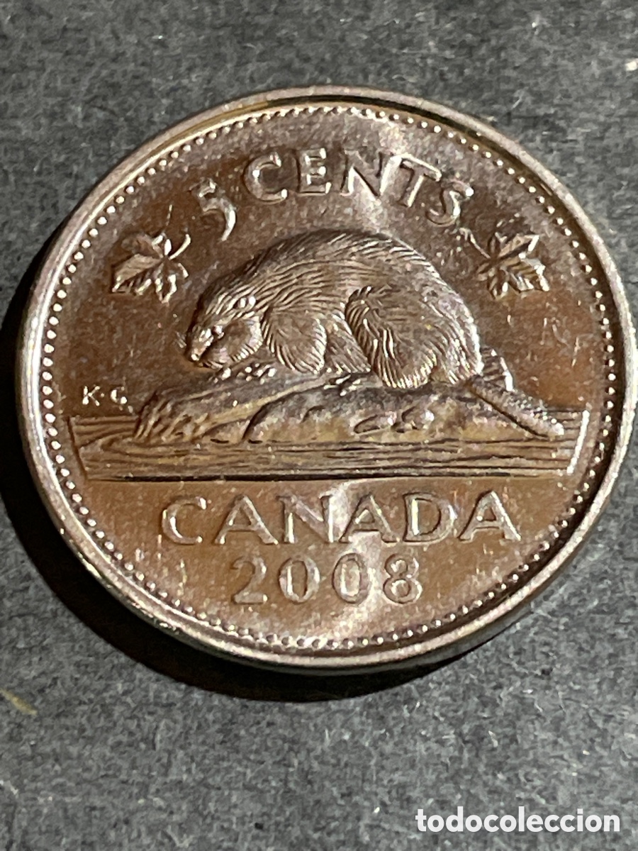 Monedas antiguas de Am&eacute;rica: Canad&aacute; 5 cent a&ntilde;o 2008 - Foto 1