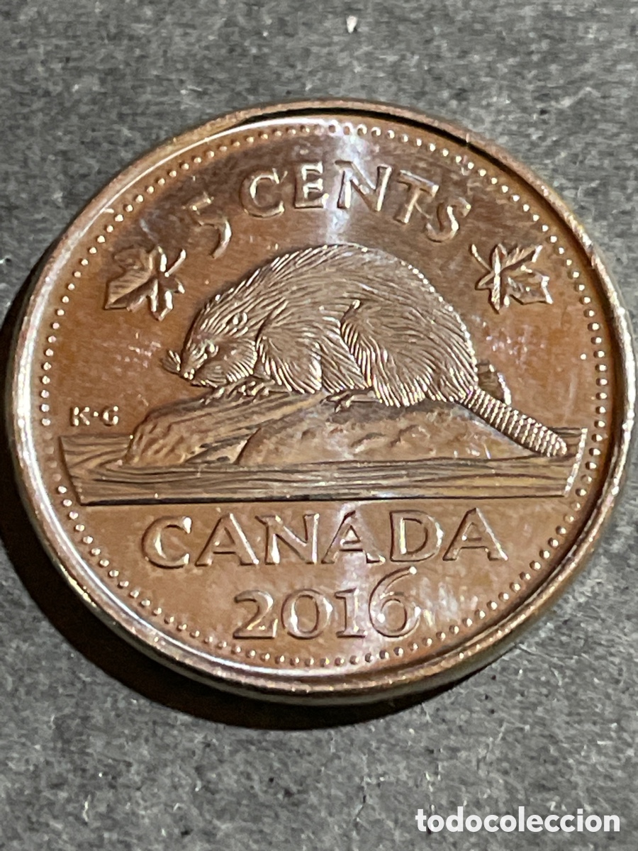 Monedas antiguas de Am&eacute;rica: Canad&aacute; 5 cent a&ntilde;o 2016 - Foto 1