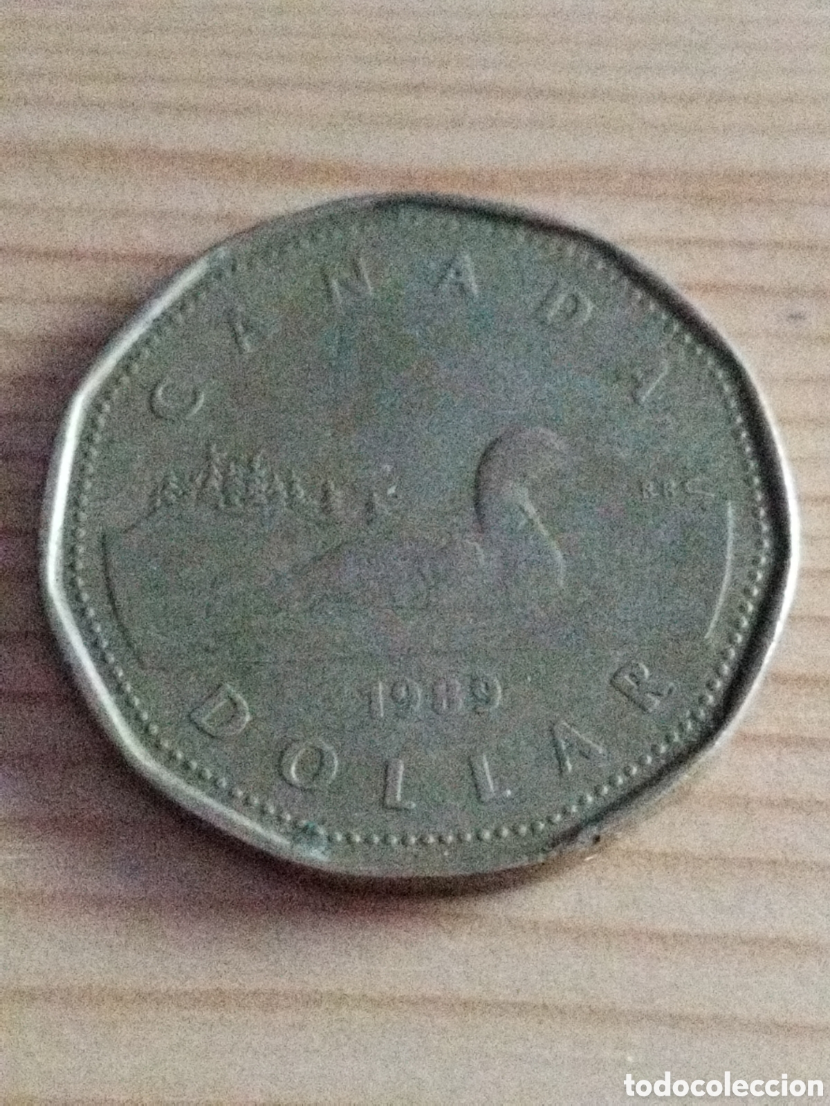 Monedas antiguas de Am&eacute;rica: Canad&aacute; 1 dolar de 1989 km#157 - Foto 1