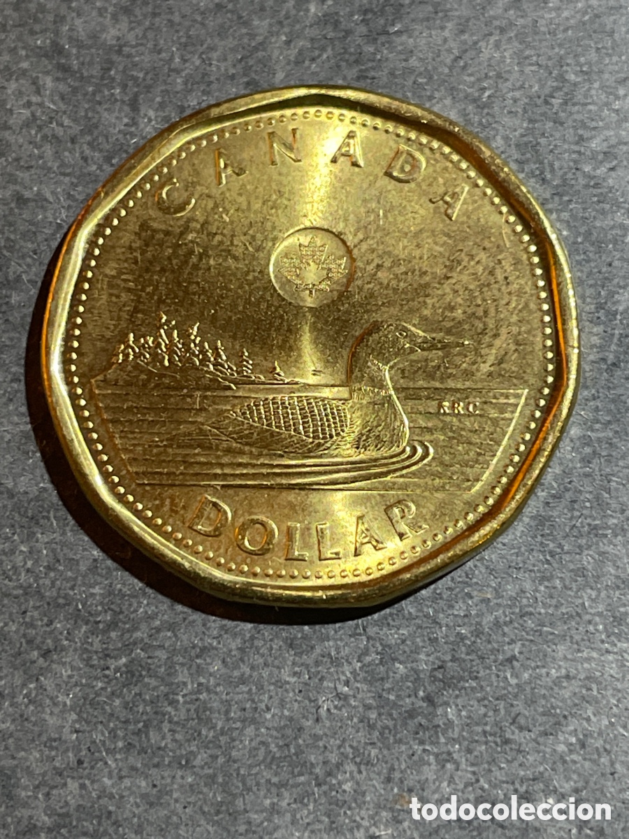 Monedas antiguas de Am&eacute;rica: Canad&aacute; 1 d&oacute;lar a&ntilde;o 2016 - Foto 2