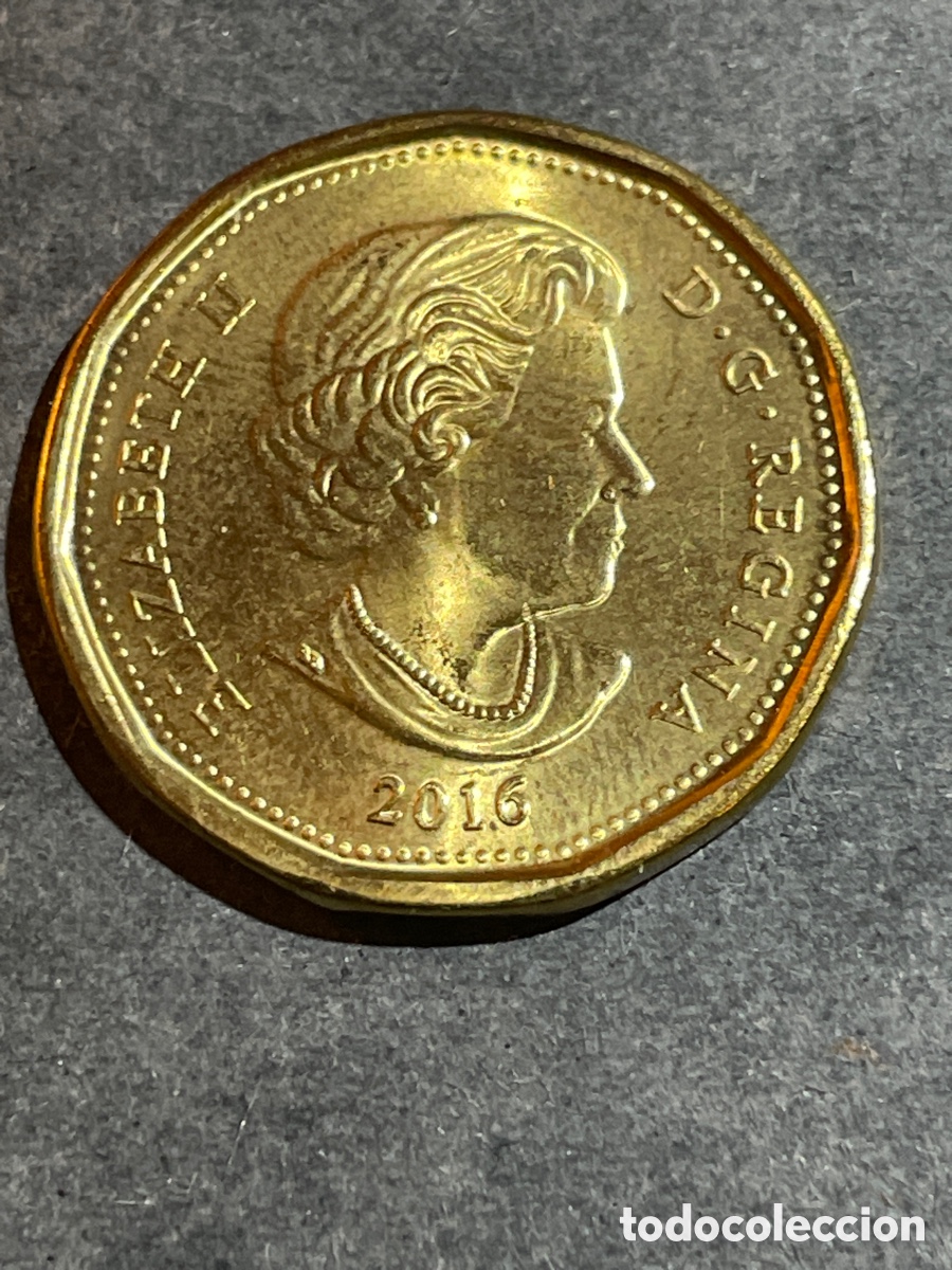 Monedas antiguas de Am&eacute;rica: Canad&aacute; 1 d&oacute;lar a&ntilde;o 2016 - Foto 1