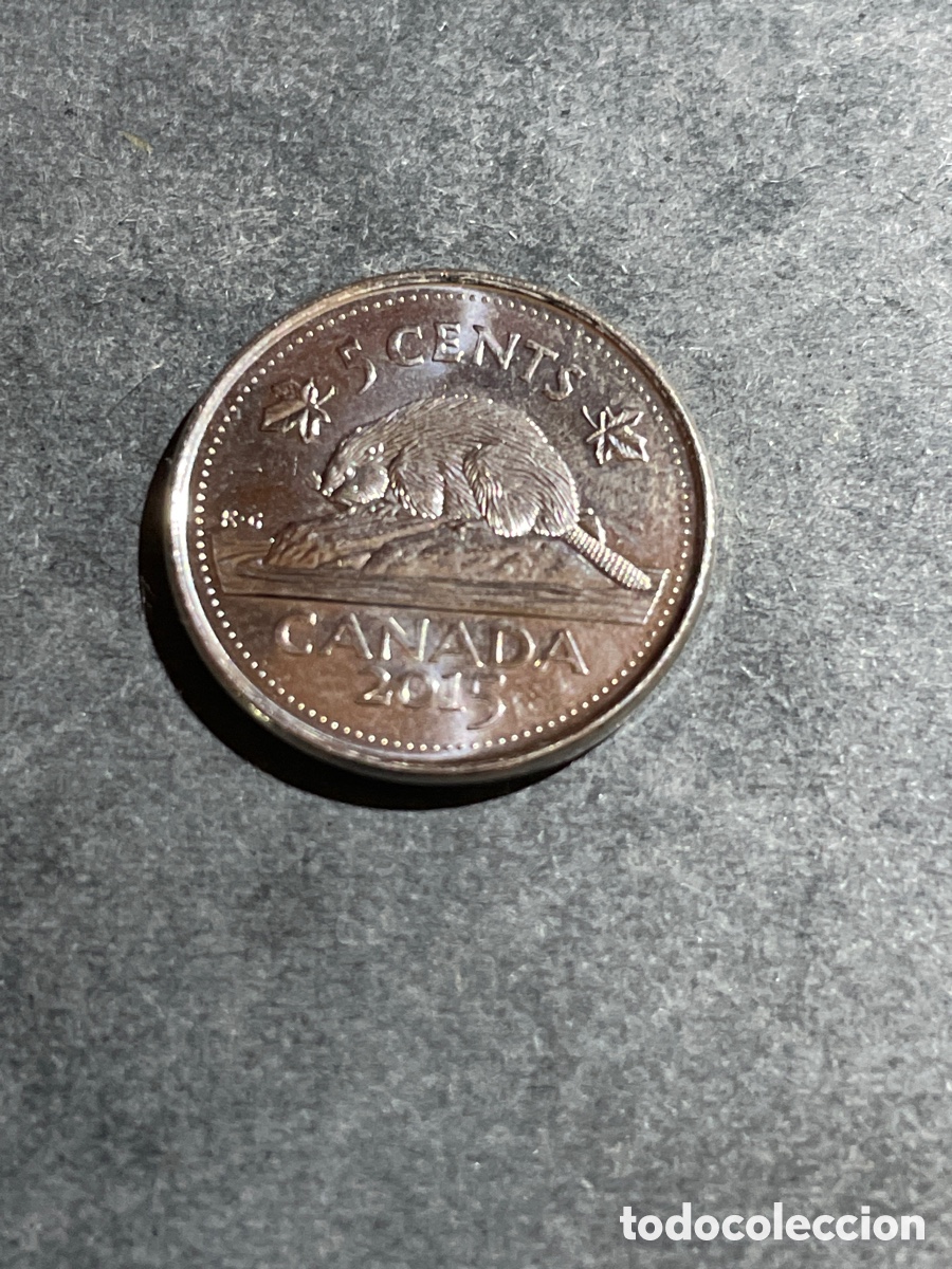 Monedas antiguas de Am&eacute;rica: Canad&aacute; 5 cent a&ntilde;o 2015 - Foto 2