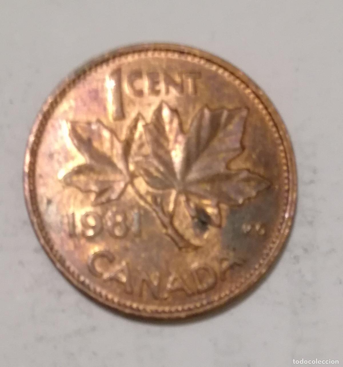 Monedas antiguas de Am&eacute;rica: Moneda de Canada: 1 cent; a&ntilde;o 1981 (Maris) - Foto 2