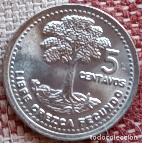 Monedas antiguas de Am&eacute;rica: Moneda de 5 centavos de 1996 - Guatemala - Foto 2