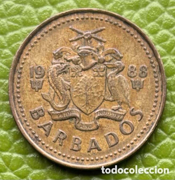 Monedas antiguas de Am&eacute;rica: BARBADOS. CINCO CENTAVOS. 1988. - Foto 1