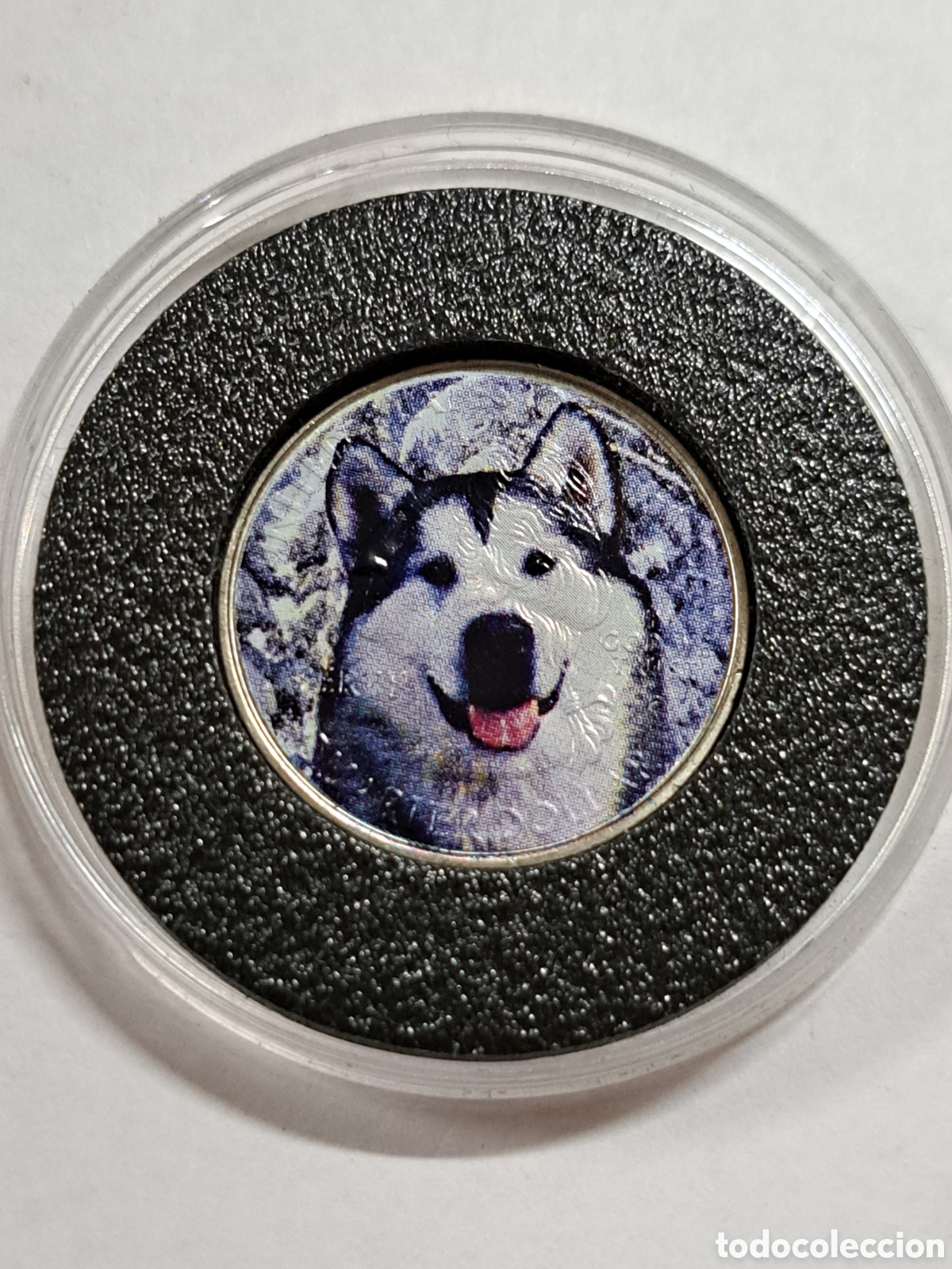 Monnaies anciennes d'Am&eacute;rique: Cuarto de d&oacute;lar edici&oacute;n limitada con Husky siberiano