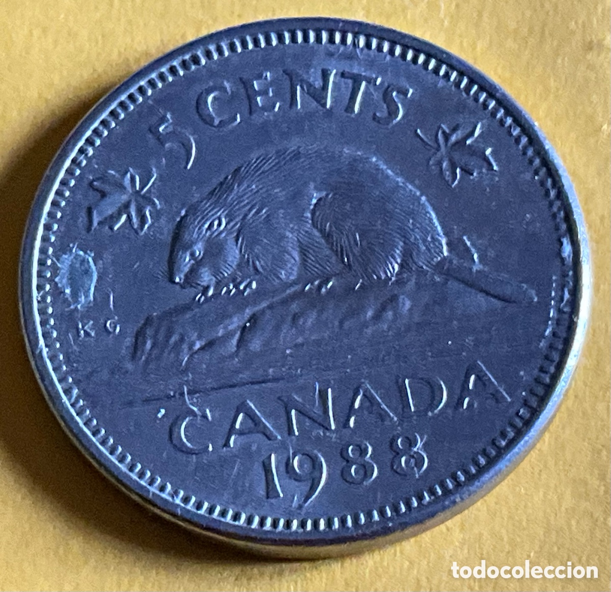 Monedas antiguas de Am&eacute;rica: 5 CENTAVOS CANADA. A&ntilde;o 1988 - Foto 1