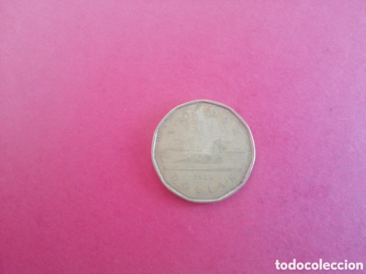 Monedas antiguas de Am&eacute;rica: 1 d&oacute;lar de Canad&aacute; 1988 - Foto 1