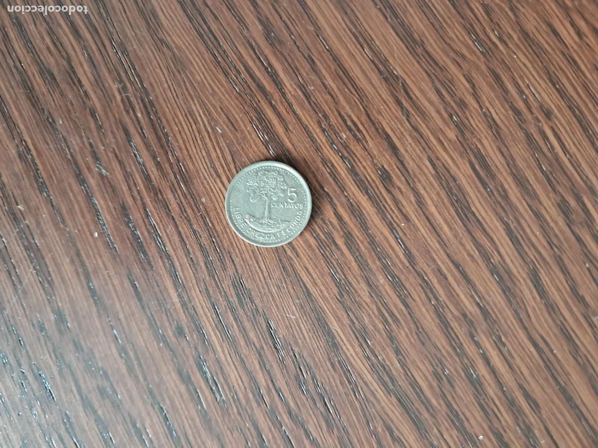 Monedas antiguas de Am&eacute;rica: moneda de Guatemala, 5 centavos. - Foto 1