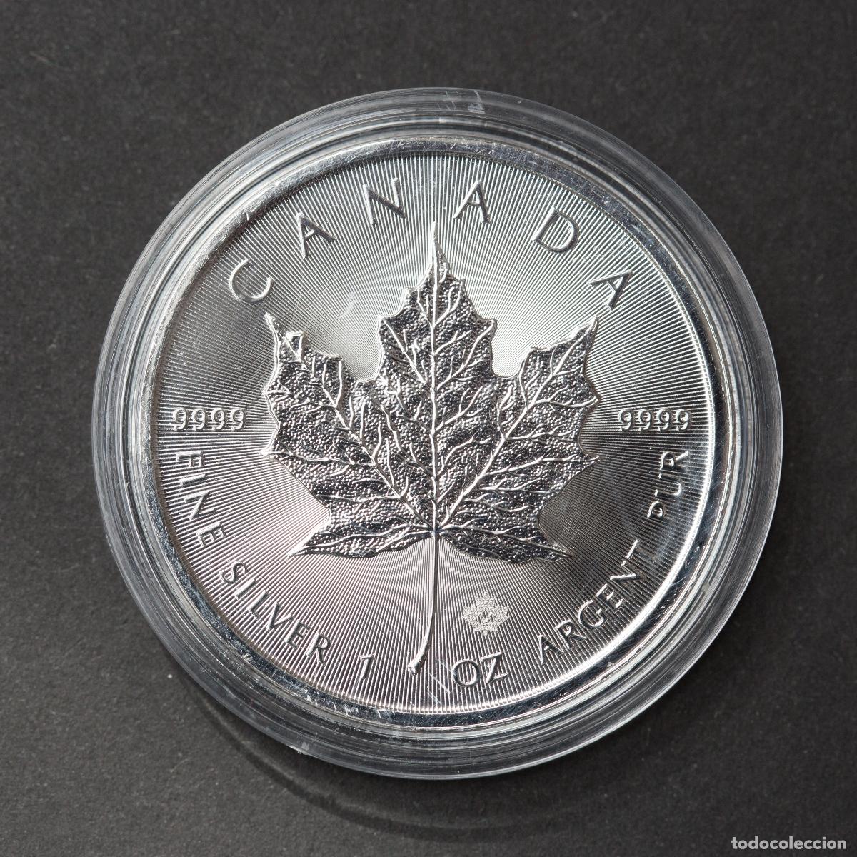 Monedas antiguas de Am&eacute;rica: Maple Leaf. Canad&aacute;. 2025. Onza de plata - Foto 1