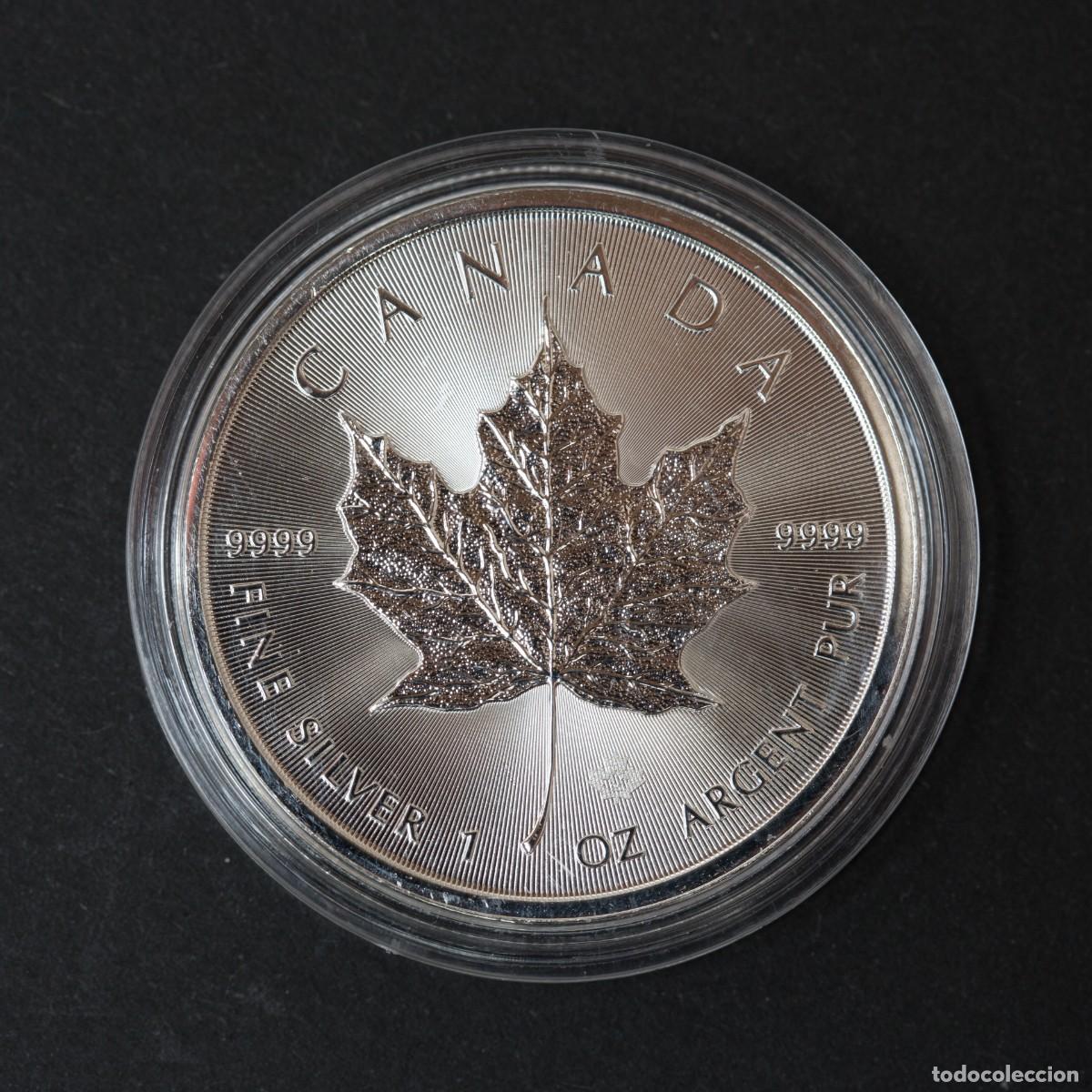 Monedas antiguas de Am&eacute;rica: Maple Leaf. Canad&aacute;. 2025. Onza de plata - Foto 3