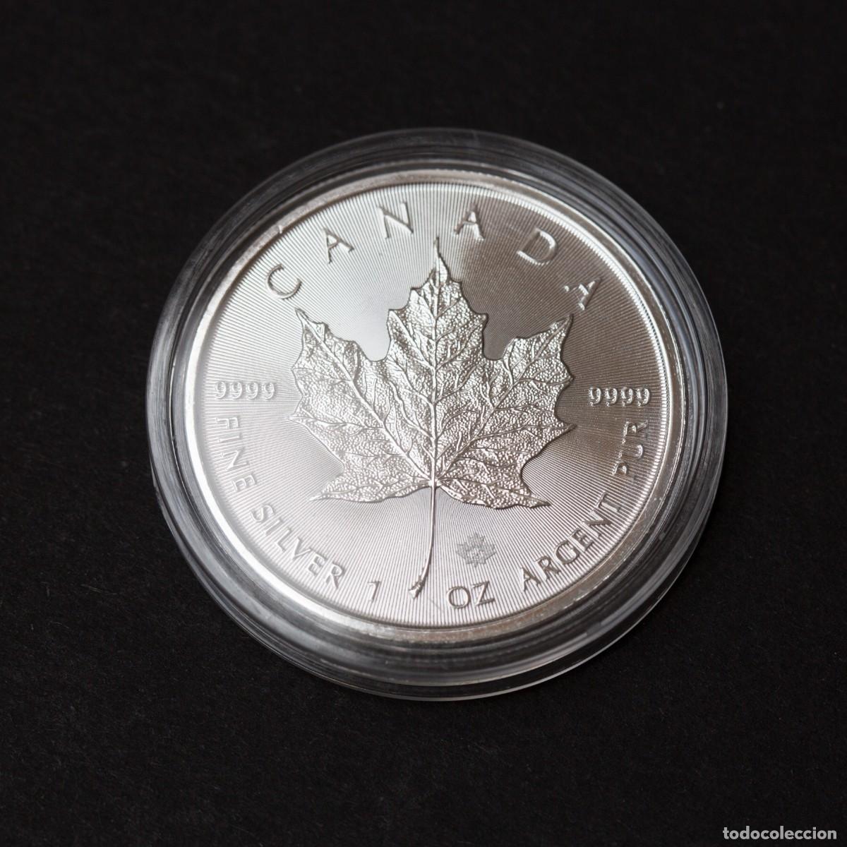 Monedas antiguas de Am&eacute;rica: Maple Leaf. Canad&aacute;. 2025. Onza de plata - Foto 5