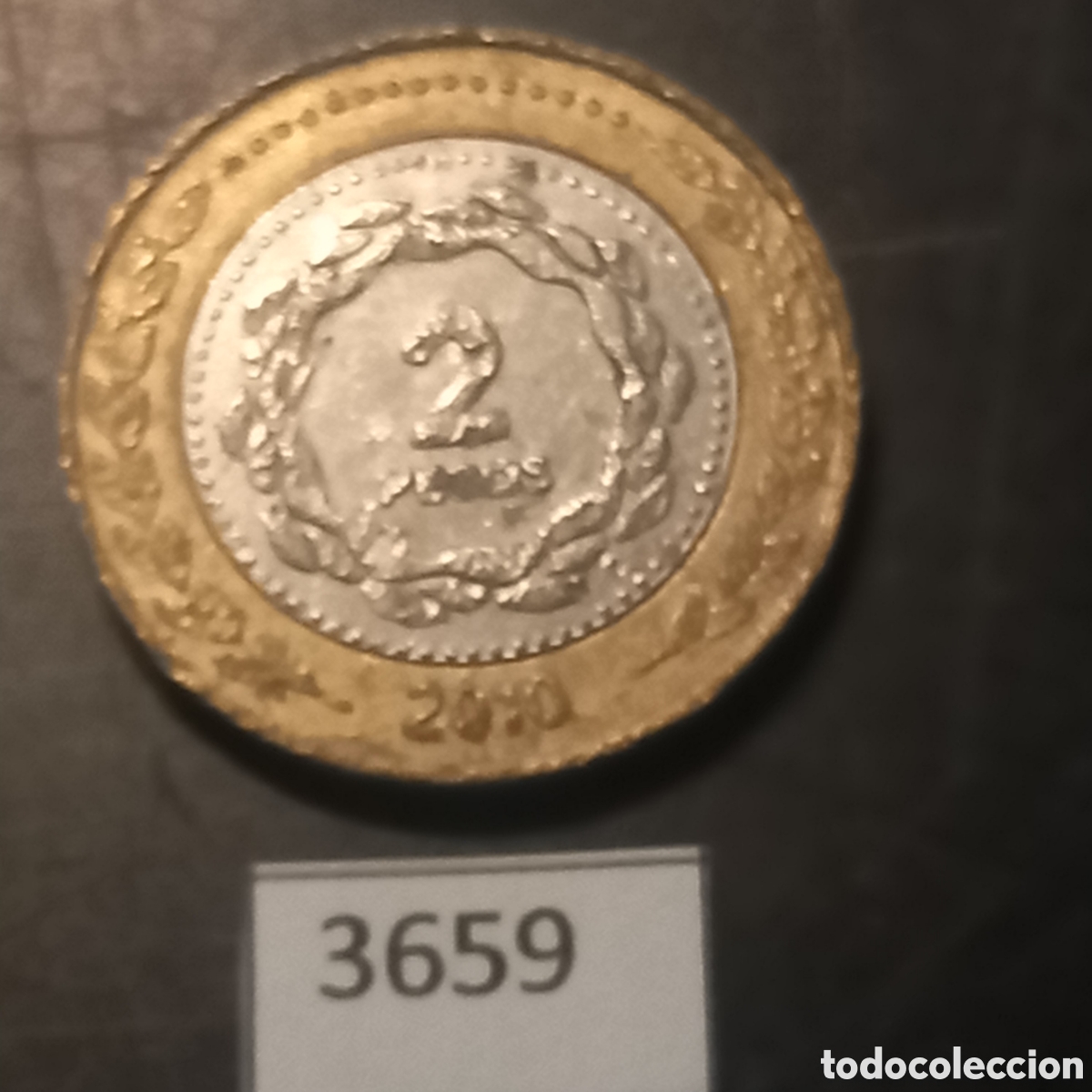 Monedas antiguas de Am&eacute;rica: Argentina 2 pesos 2010 - Foto 2