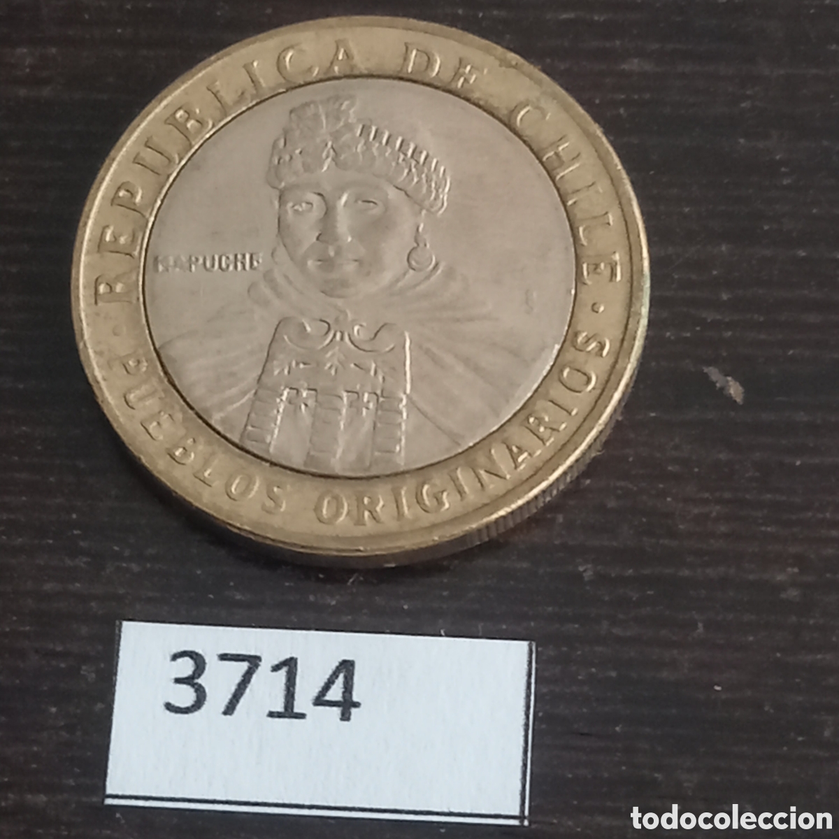 Monedas antiguas de Am&eacute;rica: Chile 100 pesos 2008 - Foto 1